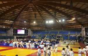 5cea531705c43_judo4.jpg