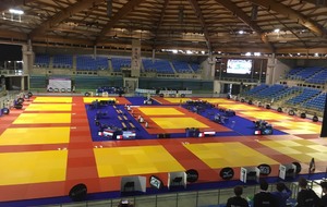 5cea532f24cbf_judo1.jpg